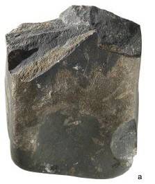 Pebble tool (chopper)