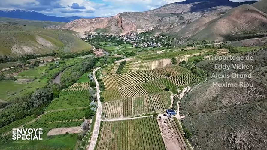 Arménie : le plus vieux vin du monde