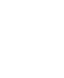 Pebble tool (chopper)